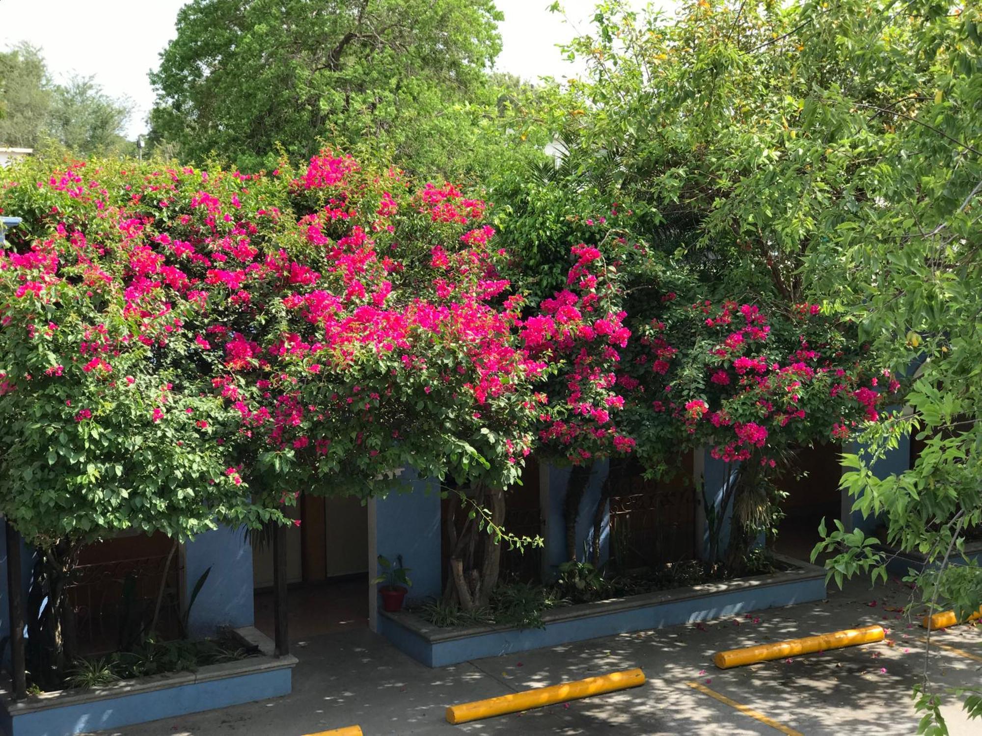 Hotel Hacienda Del Viejo Heroica Matamoros Exterior foto